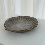 Shell Plate Set of 2 in Aged Earth